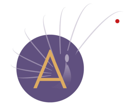 signature-aleyra-web